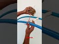Simple & Easy. #plants #gardening #tips #tricks #shorts #diy #diycrafts #viral #crafts #trending