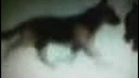 Spliced