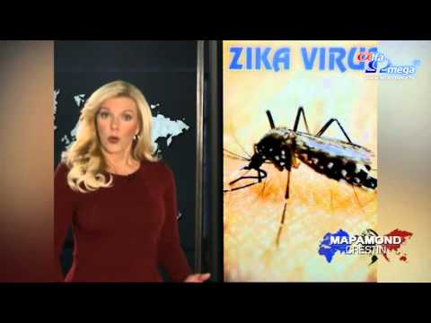 Video: Este Virusul Zika Prezent în Mexic și America Centrală?