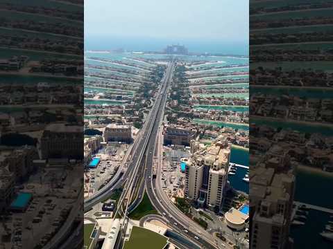 Don't Miss This In Dubai – 360 degree View of Palm Jumeira | Best View In Dubai
