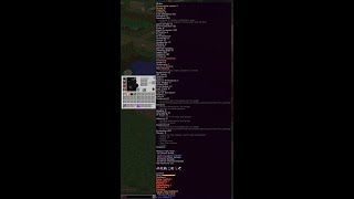 The Most Enchanted Kikoku and Longest Modded Tooltip Ever