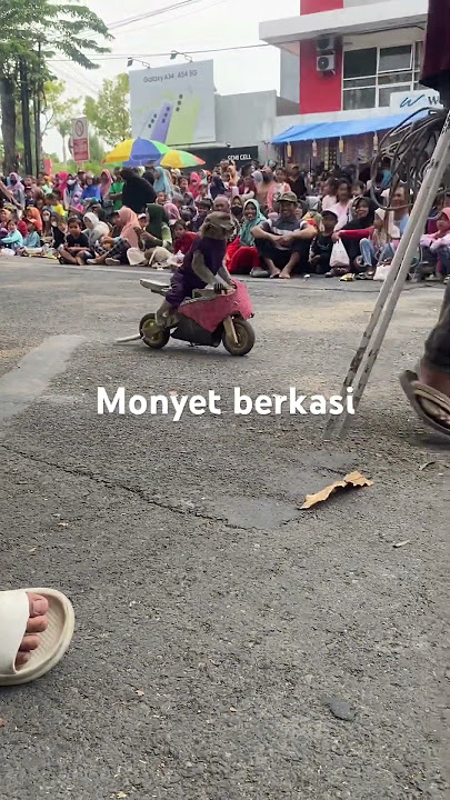 Ketek ogleng #viralshorts