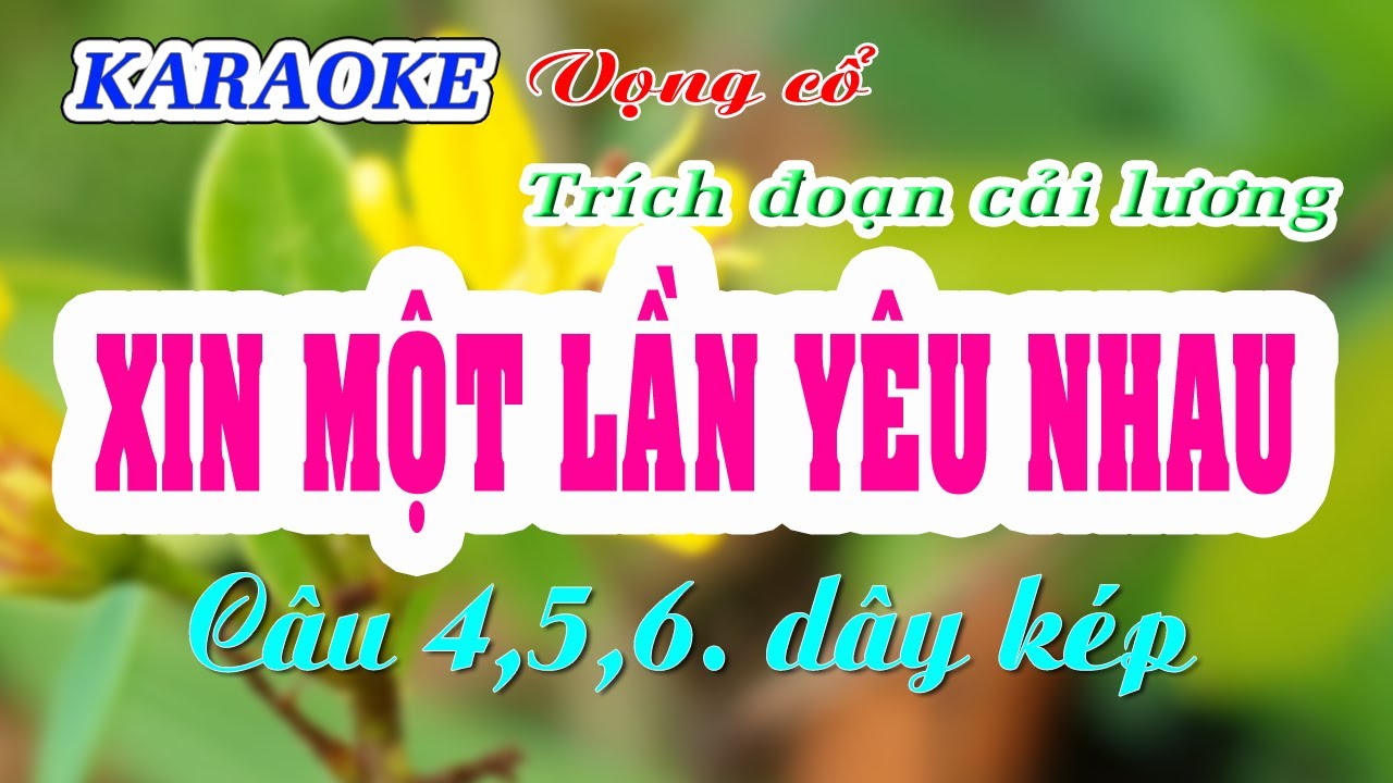 KARAOKE   TĐCL XIN MỘT LẦN YÊU NHAU ( Nam Ai Lớp Mái -  VC 4,5,6  Dây kép )