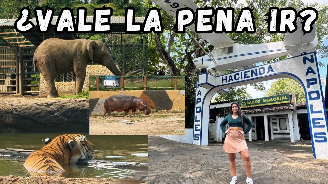 Entré a la Hacienda Nápoles de Pablo Escobar… y esto fue lo que encontré… 🇨🇴