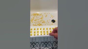 542 ducks 🦆! The support is amazing thank you guys! ❤️ #3dprinting #duck #fyp #viral #subscribe