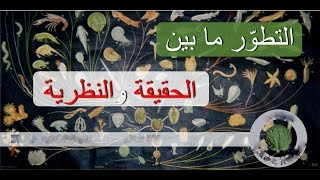‫التطور مجرد نظرية !‬