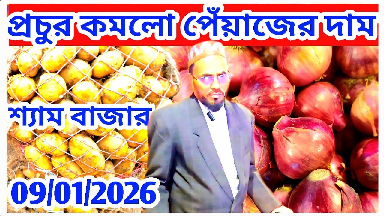 হঠাৎ LC দেশি পেঁয়াজ প্রচুর আমদানি! কমলো দাম/দর! বিশ্লেষণধর্মী প্রতিবেদন। দাম বাড়বে? Onion price