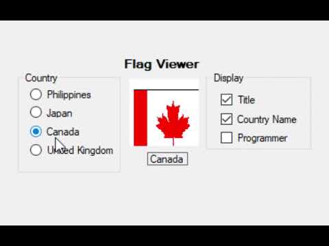 Flag in C# Activity