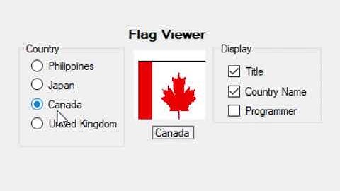 Flag in C# Activity