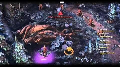 Tree Of Savior - Saknis Plains Hidden Quest