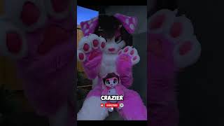 They're Hosting A Furry Camp WHERE!?!
