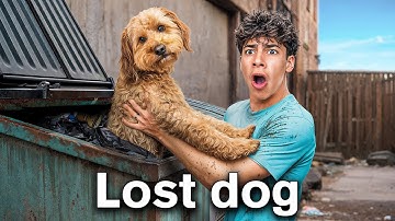Thumbnail of We Found a Lost Dog in a Dumpster