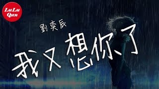 抖音《我又想你了》劉奕辰【動態歌詞Lyrics】 chords