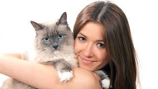 Steve Dale: The Cat Friendly Practice Program
