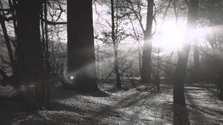 Woods of Ypres - Lightning & Snow