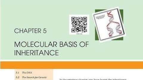 Molecular Basis of Inheritance chapter Podcast for Neet Close your Eyes 👀 and use headphones 🎧