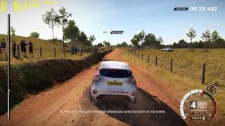 Dirt 4 GTX 1080 Ti 1440p