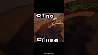 offensive memes that if ylyl v198