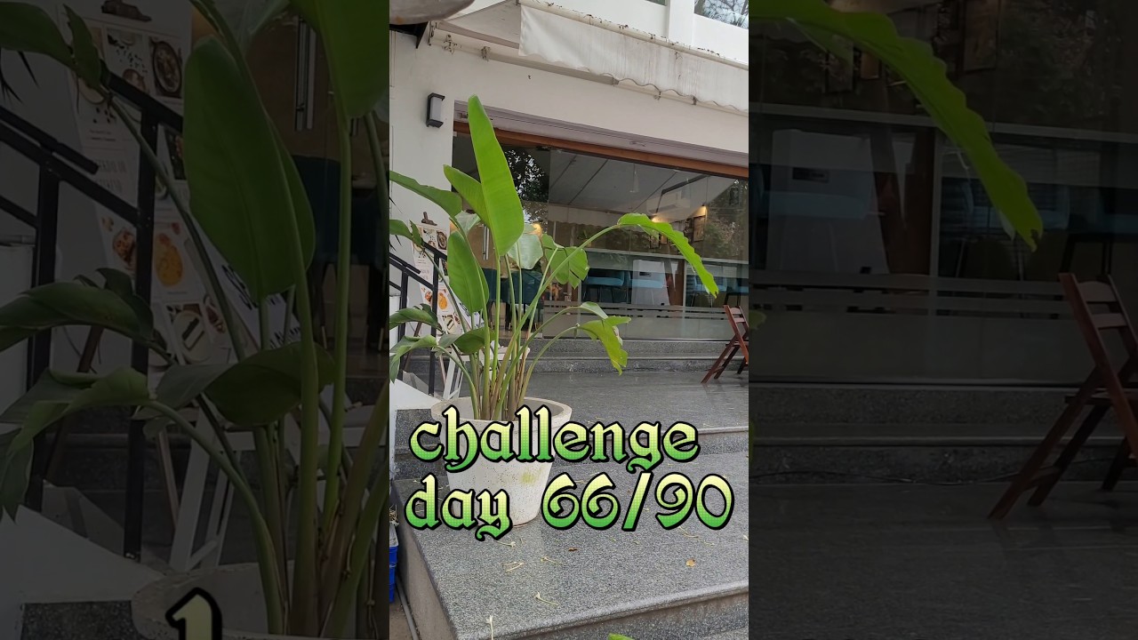 Zomato earning per day 