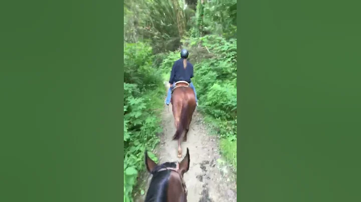 Bella riding trails at point Reyes