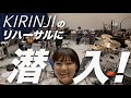 《スペシャル企画!!》KIRINJIのリハーサルに潜入しました!!【 #弓木英梨乃 ギター動画 特別編】