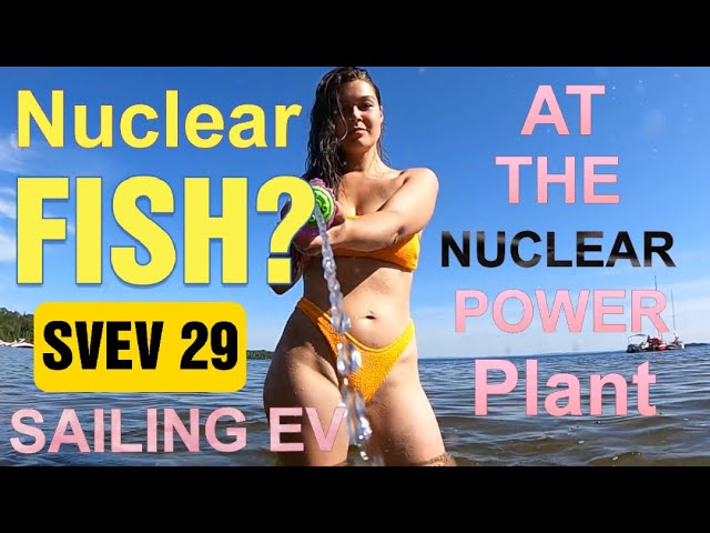 Nuclear fish? Sailing EV episode 29