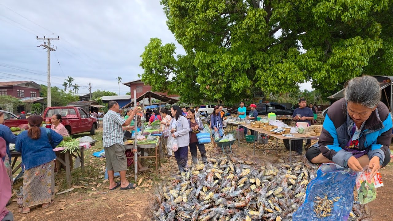 บรรยากาศบ้านๆ ตลาดชุมชนบ้านเหมือดแอ่ ต.ขามป้อม อ.เขมราฐ จ.อุบลฯ