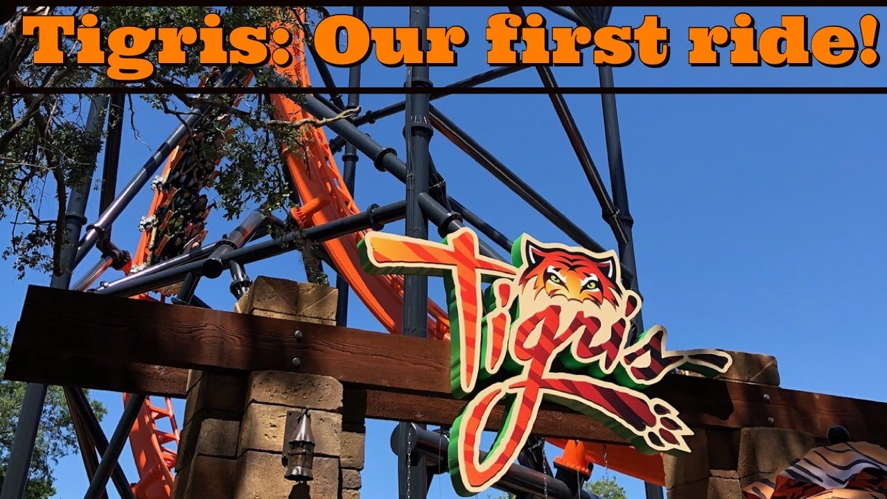 Tigris Busch Gardens Tampa When Lockers Strike Back Youtube