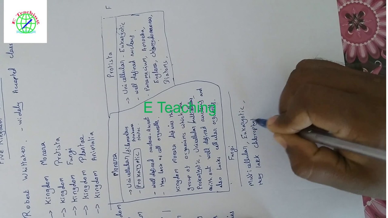 Five kingdom classification explained in tamil