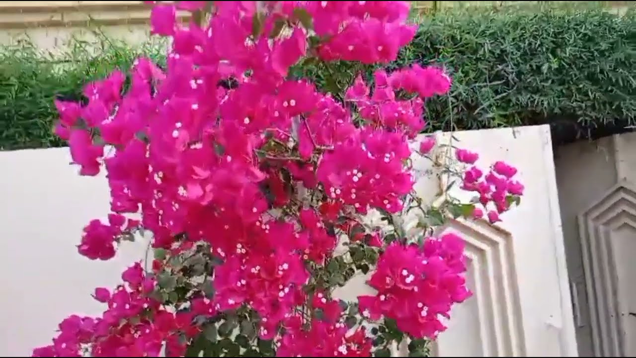 ഷോക്ക് വെച്ചത് ഇന്ദ്രജ ആണെന്ന് സത്യം പത്മക്ക് മുന്നിൽ സൂര്യ തെളിയിക്കു, ഇന്ദ്രജ ഇനി വീടിനു പുറത്ത്