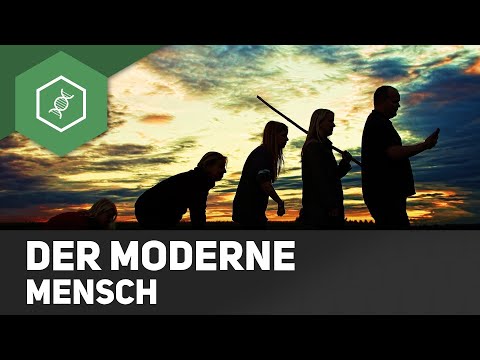 Video: Was ist der Mensch in der Biologie?