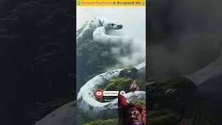 Amazon Rainforest के तीन खतरनाक जानवर | Amazon Jungle#amazingfacts #factsinhindi #facts#shorts
