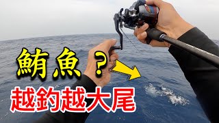 兩人包船來去南台灣找口感不輸黑鮪魚的生魚片食材,狂咬就算了!越釣越大尾!!#赫馬士#釣魚#TUNA 兩人包船來去南台灣找口感不輸黑鮪魚的生魚片食材,狂咬就算了!越釣越大尾!!#赫馬士#釣魚#TUNA
