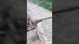 отремонтировали мост в красноармейском районе село рощино
