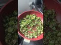 Sugestão de jantar da Pá na cozinha 😋costelinha de porco e quiabo