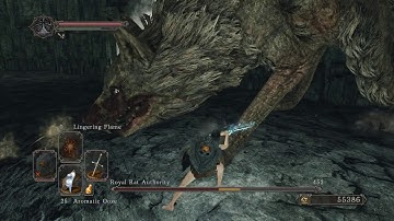 Dark Souls 2 SL1 - CoC Royal Rat Authority No Rolling/Blocking/Parrying [Flawless]
