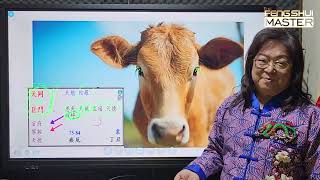 Shio 2024  Shio Babi Shio Tikus Shio Kerbau Dan Shio Macan