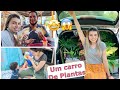 VLOG BUSCAMOS AS PLANTAS DA CASA NOVA + SAINDO DA ROTINA | #PALOMASOARES