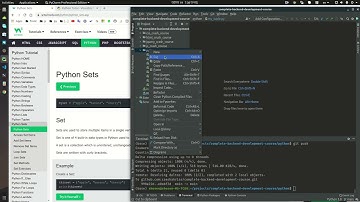 Python Set Tutorial for Beginners | Master Python Sets in Just 10 Minutes (2025)