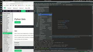 Python Set Tutorial for Beginners | Master Python Sets in Just 10 Minutes (2025)
