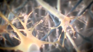 ▶ Crysis 2 - Начальный ролик из игры [HD]