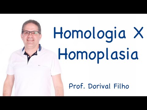 Vídeo: Diferença Entre Homoplasia E Homologia