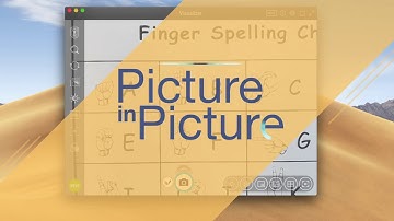 Picture-in-Picture with Visualizer