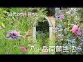 【vlog117】お手本にしたいお庭「シンプリーガーデン」(🍃カントリーサイドより)/人生物語「手術・退院、そして新しいスタート」(40代の私)/猫たち😸/一人暮らし/60代/八ヶ岳南麓/田舎暮らし
