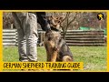 How to Train Your German Shepherd: A Step-by-Step Guide