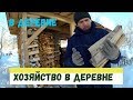 Индюки, куры, перепелки // Хозяйство в деревне // Январь 2019