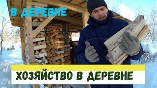 Индюки, куры, перепелки // Хозяйство в деревне // Январь 2019