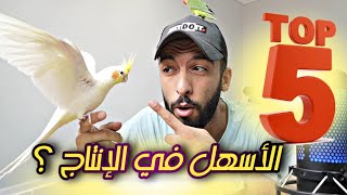 ترتيب طيور الزينة حسب سهولة الإنتاج 🤔 فيديو مع أصدقائي العصافير 🤩