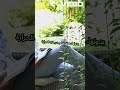 ماذا لو اختفت الشمس عالم بلا شمس الكارثة الكبرى ماذا لو اختفت الشمس عالم بلا شمس الكارثة الكبرى