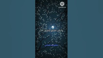 سورة القيامة | الشيخ مشاري راشد العفاسي #اكسبلور #راحة_نفسية #المصحف